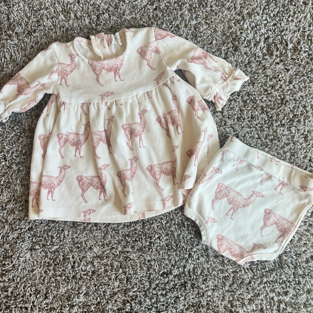 Kate Quinn 6-12 month